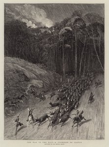 Der Krieg im Osten, eine Viehstampede
